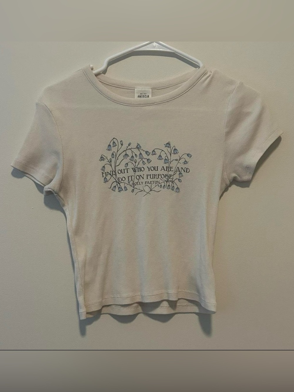 American Eagle Outfitters Cream Tee with Blue Floral Graphic